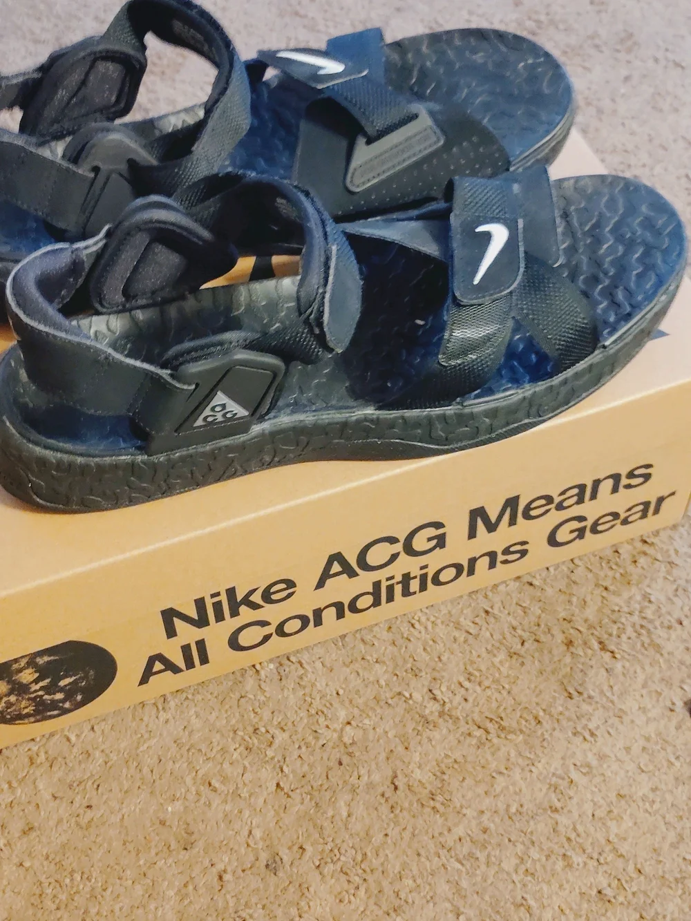 Nike Mens ACG Air Deschutz+